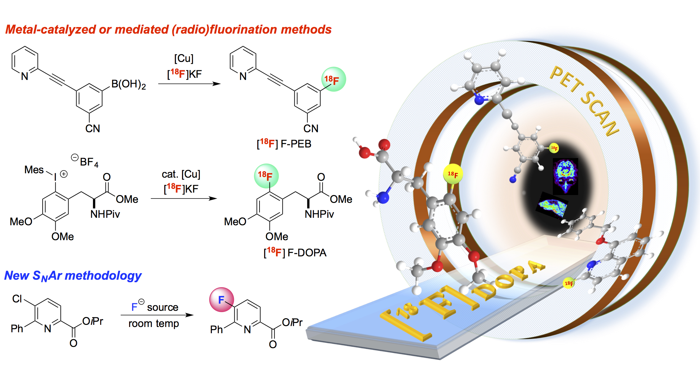 PET Chemistry The Driving Force in Mole… PET Chemistry The Driving Force in Mole…